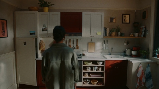 Video Reference: Cabinetry, Countertop, Kitchen appliance, Shelf, Kitchen, Home appliance, Interior design, Wood, Floor, Flooring