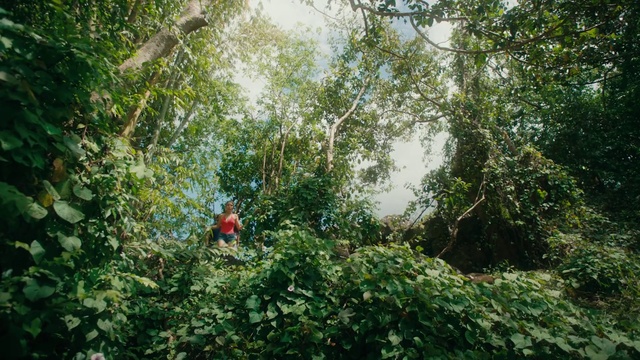 Video Reference: Plant, Terrestrial plant, Sky, Natural landscape, Tree, Twig, Trunk, Landscape, Shrub, Grass