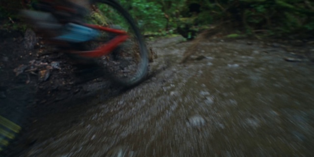 Video Reference: Plant, Tire, Wheel, Automotive tire, Bicycle wheel, Terrestrial plant, Wood, Bicycle tire, Grass, Tree