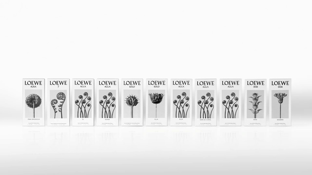 Video Reference: Rectangle, Font, Parallel, Number, Event, Circle, Brand, Clock, Logo, Collection