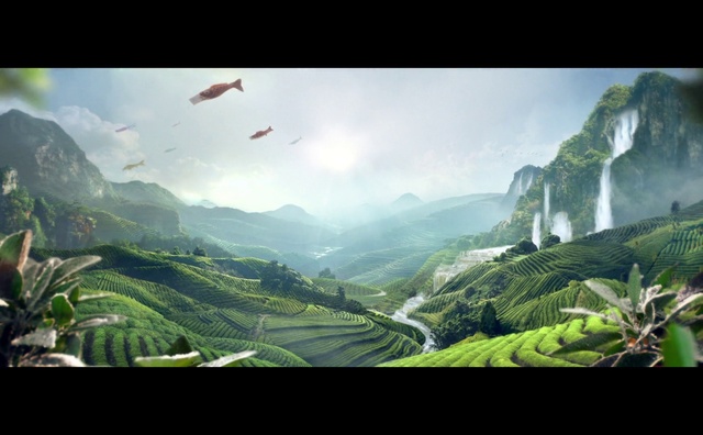 Video Reference: Cloud, Sky, Mountain, Ecoregion, World, Highland, Plant, Natural landscape, Terrestrial plant, People in nature
