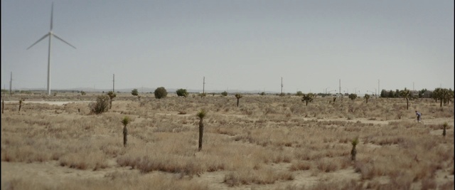 Video Reference: Sky, Plant, Plant community, Natural landscape, Land lot, Plain, Grass, Tree, Grassland, Landscape