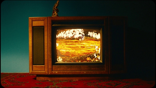 Video Reference: Plant, Rectangle, Amber, Wood, Heat, Gas, Tints and shades, Fire, Art, Hearth