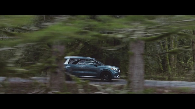 Video Reference: Wheel, Tire, Vehicle, Car, Automotive lighting, Automotive tire, Alloy wheel, Automotive design, Plant, Motorsport