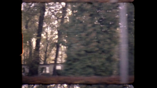 Video Reference: Automotive lighting, Rectangle, Window, Plant, Wood, Tints and shades, Glass, Font, Twig, Transparent material