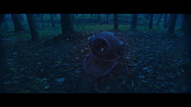 Video Reference: Tire, Plant, Wheel, Automotive tire, Tread, Water, Wood, Grass, Automotive wheel system, Rim