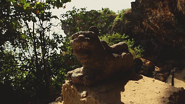 Video Reference: Plant, Wood, Bedrock, Sculpture, Trunk, Tree, Felidae, Fawn, Terrestrial animal, Sky