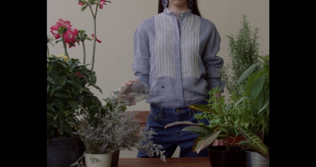 Video Reference: Plant, Flowerpot, Houseplant, Flower, Dress shirt, Window, Botany, Sleeve, Door, Collar