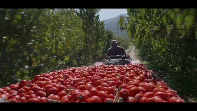 Video Reference: Food, Plant, Fruit, Natural environment, Natural foods, Tree, Plum tomato, Whole food, Bush tomato, Vegetable