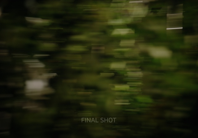 Video Reference: Wood, Plant, Terrestrial plant, Natural landscape, Tints and shades, Grass, Landscape, Forest, Darkness, Font