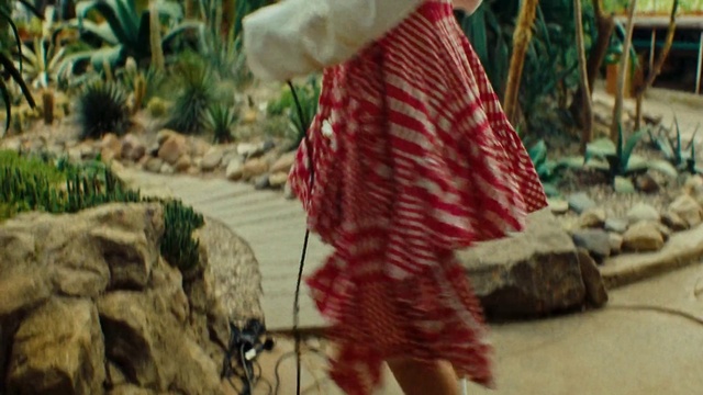 Video Reference: Plant, Sleeve, Textile, Street fashion, Adaptation, Grass, Waist, Human leg, Pattern, Arecales