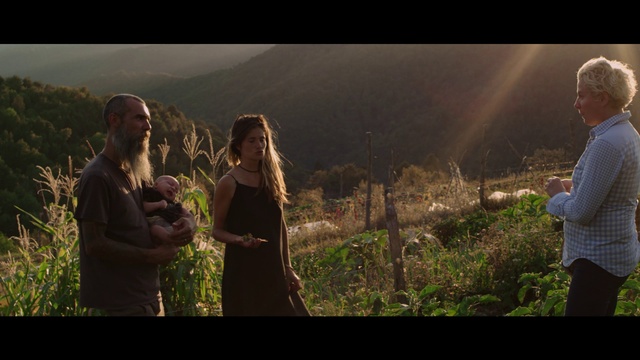 Video Reference: Hand, Plant, Shirt, People in nature, Light, Flash photography, Happy, Gesture, Atmospheric phenomenon, Grassland