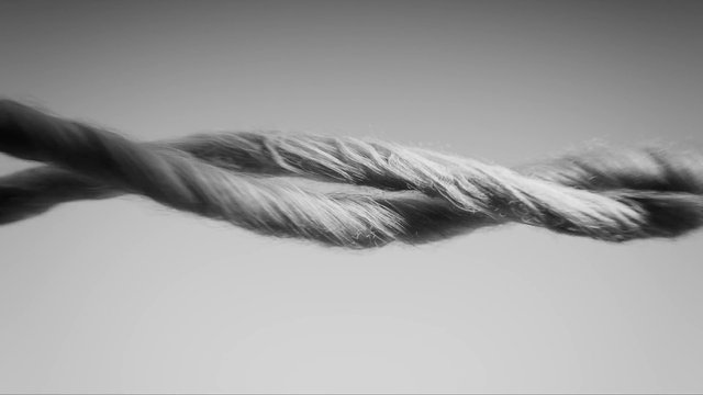 Video Reference: rope, twisted, close-up, black and white, texture, fiber, diagonal, abstract, minimal, macro, cord, line, background, detail