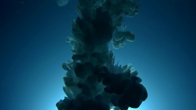Video Reference: Water, Marine invertebrates, Plant, Azure, Underwater, Liquid, Marine biology, Electric blue, Sky, Reef