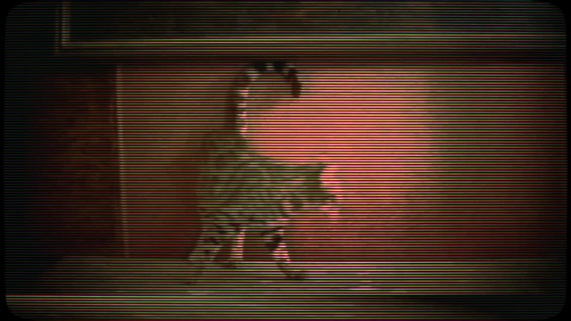 Video Reference: Amber, Wood, Textile, Orange, Tree, Art, Font, Tints and shades, Magenta, Pattern