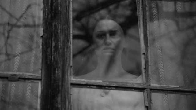 Video Reference: Face, Vision care, Window, Flash photography, Black-and-white, Wood, Style, Tints and shades, Eyewear, Glass