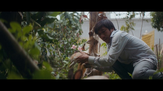 Video Reference: Plant, People in nature, Flash photography, Gesture, Happy, Grass, Terrestrial plant, Forest, Leisure, Event