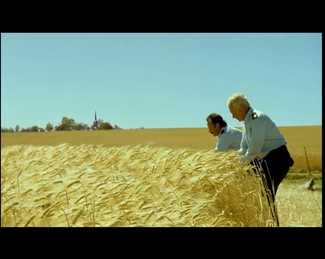 Video Reference: Sky, People in nature, Plant, Grass, Happy, Agriculture, Plain, Landscape, Grassland, Khorasan wheat