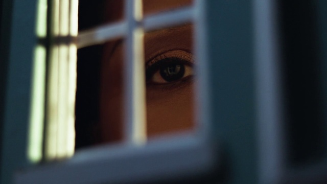 Video Reference: Eye, Eyebrow, Eyelash, Iris, Wood, Tints and shades, Electric blue, Macro photography, Pattern, Font