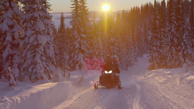 Video Reference: Sky, Snow, Vehicle, Light, Automotive lighting, Snowmobile, Automotive tire, Tree, Sunlight, Atmospheric phenomenon