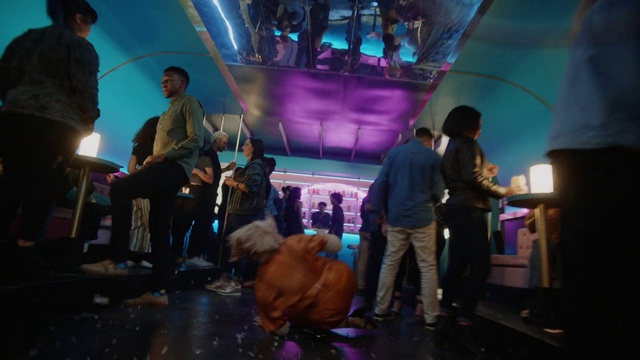 Video Reference: Purple, Lighting, Entertainment, Crowd, Leisure, People, Fun, Suit, Event, Magenta