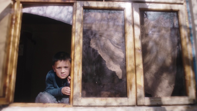 Video Reference: Wood, Art, Window, Tree, Tints and shades, Painting, Rectangle, Toddler, House, Room