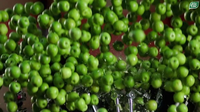 Video Reference: Food, Ingredient, Natural foods, Fruit, Terrestrial plant, Whole food, Leaf vegetable, Produce, Plant, Flowering plant