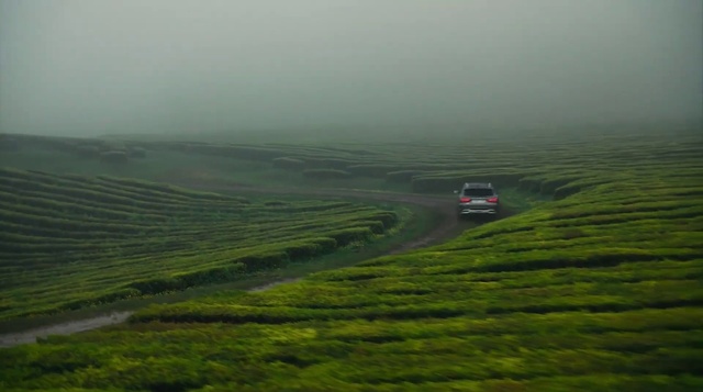 Video Reference: Plant, Vehicle, Car, Natural landscape, Agriculture, Fog, Terrain, Grassland, Grass, Plain