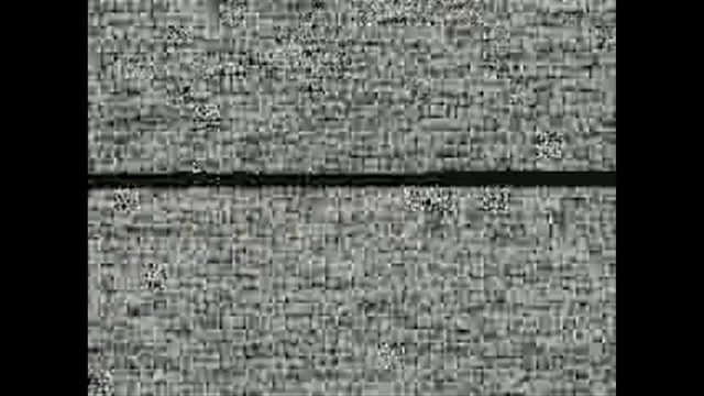 Video Reference: static, noise, glitch, distorted, grayscale, abstract, video frame, interference, artifact