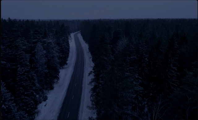 Video Reference: Plant, Sky, Slope, Natural landscape, Evergreen, Tree, Freezing, Snow, Mountainous landforms, Landscape