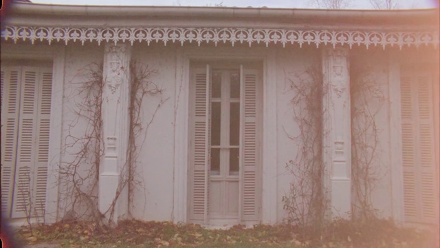 Video Reference: Plant, Building, Window, Door, Shade, Wood, House, Branch, Rectangle, Tree