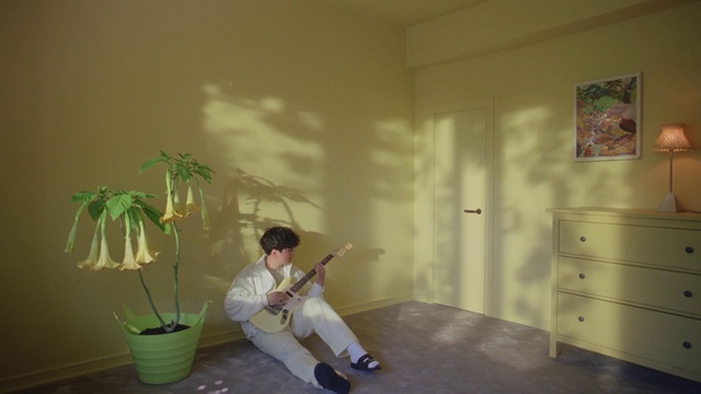 Video Reference: Cabinetry, Plant, Drawer, Wood, Musical instrument, Dresser, Chest of drawers, Interior design, Floor, Flooring