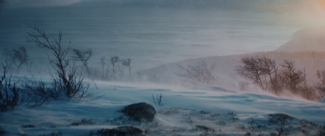 Video Reference: Atmosphere, Sky, Natural landscape, Snow, Tree, Fog, Plant, Art, Landscape, Paint