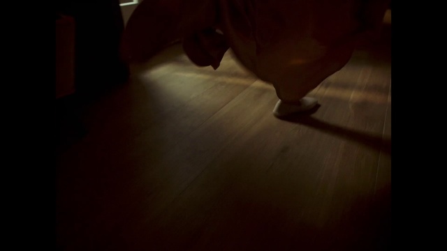 Video Reference: Wood, Flooring, Floor, Fawn, Hardwood, Tints and shades, Wood stain, Whiskers, Foot, Human leg