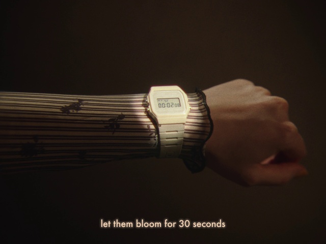 Video Reference: Watch, Gesture, Clock, Wrist, Font, Thumb, Fashion accessory, Wood, Everyday carry, Darkness