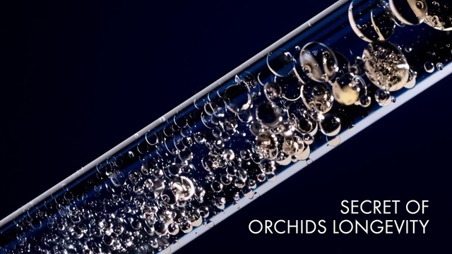 Video Reference: Water, Liquid, Font, Rectangle, Electric blue, Glass, Body jewelry, Jewellery, Transparent material, Metal