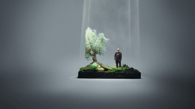 Video Reference: Plant, Terrestrial plant, Tree, Art, Wood, Grass, Landscape, Trunk, Bonsai, Twig