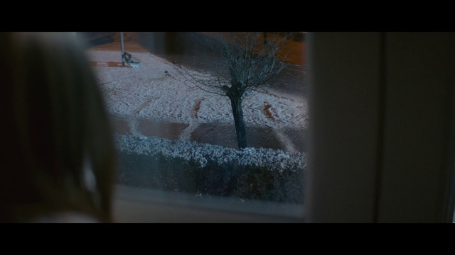 Video Reference: Window, Plant, Twig, Tree, Freezing, Wood, Tints and shades, Glass, Font, Landscape