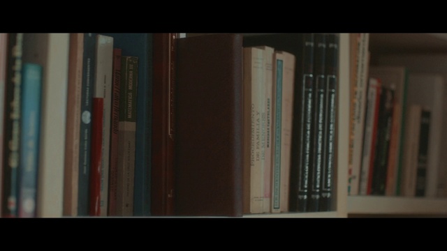 Video Reference: Bookcase, Shelf, Furniture, Publication, Shelving, Building, Book, Wood, Font, Rectangle