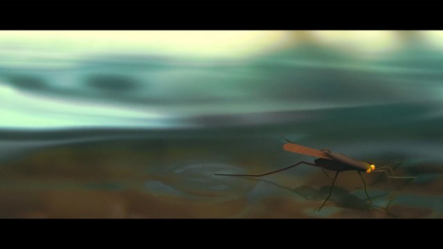 Video Reference: insect, bug, winged insect, macro, close-up, abstract background, blurred, nature, legs, wings, outdoors, single subject, motion blur, shallow depth of field