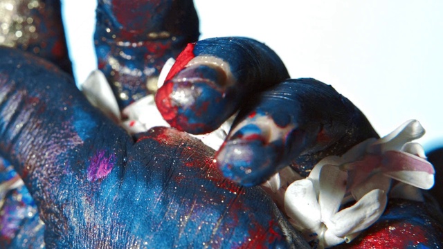 Video Reference: Toy, Plant, Gesture, Nail, Tree, Electric blue, Glass, Fashion accessory, Fictional character, Carmine