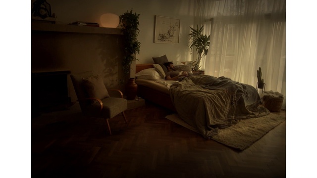 Video Reference: Picture frame, Plant, Furniture, Building, Comfort, Houseplant, Wood, Bed frame, Lamp, Flooring