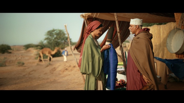 Video Reference: Flash photography, Hat, Sun hat, Sky, Working animal, Landscape, Event, Happy, Tree, Camel
