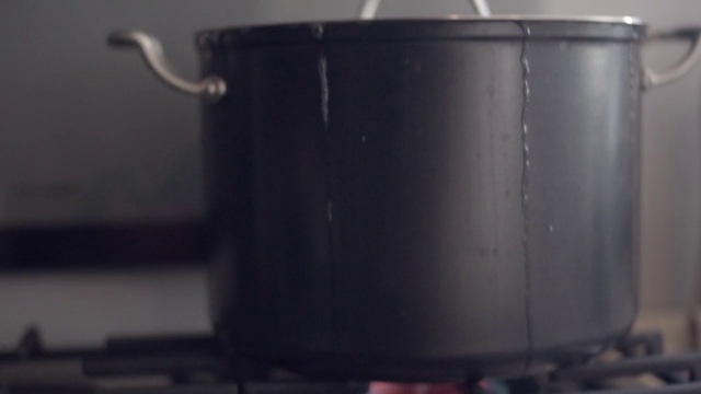 Video Reference: Tableware, Drinkware, Liquid, Dishware, Fluid, Serveware, Cookware and bakeware, Kitchen appliance, Home appliance, Cylinder