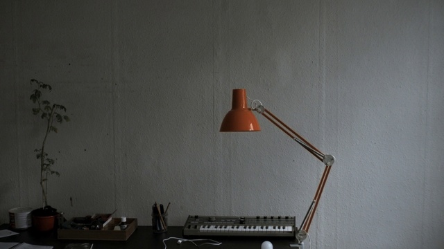 Video Reference: Wood, Grey, Shelf, Houseplant, Lamp, Plant, Office equipment, Shelving, Audio equipment, Ceiling