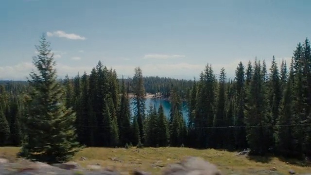 Video Reference: Sky, Plant, Cloud, Larch, Tree, Natural landscape, Land lot, Evergreen, Wood, Grass