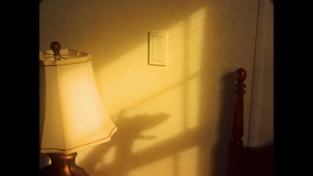 Video Reference: Light, Wood, Lamp, Wall, Electricity, Flooring, Tints and shades, Darkness, Lampshade, Heat