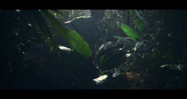Video Reference: tropical forest, jungle, dense foliage, green leaves, person, shadows, moody lighting, nature, wild vegetation, outdoors, overgrown, mysterious
