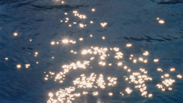 Video Reference: Water, Atmosphere, Liquid, Nature, Fluid, Tree, Plant, Heat, Midnight, Event