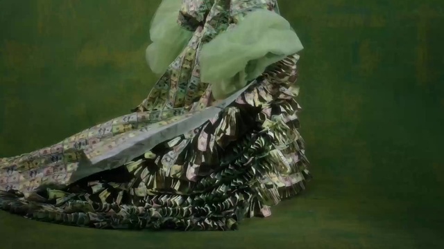 Video Reference: Pollinator, Insect, Camouflage, Terrestrial plant, Grass, Arthropod, Natural material, Fashion accessory, Wing, Macro photography